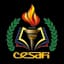 CESAFI Logo